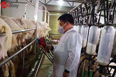 Aplicação das câmeras térmicas na indústria de laticínios: para descobrir prontamente doenças em vacas e cabras leiteiras