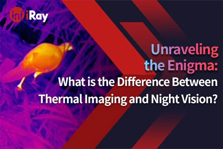 Desvendando o enigma: Qual é a diferença entre imagem térmica e visão noturna?