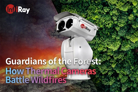 Guardiões da floresta: como câmeras térmicas combatem incêndios florestais