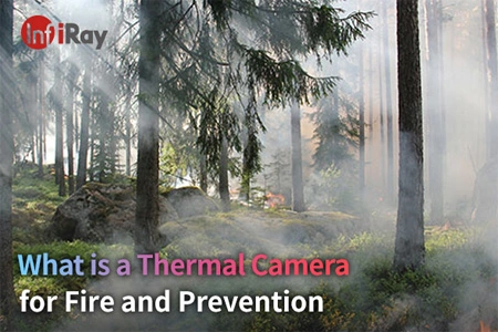O que é uma câmera térmica para incêndio e prevenção?